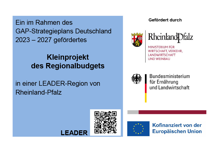 Förderhinweis Regionalbudget HigisBot 